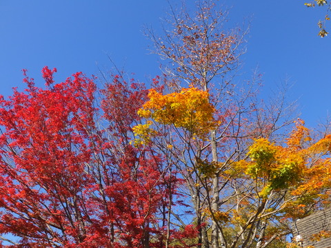 23�����դǤ�