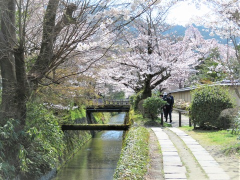 ů�ؤξ��¡������κ���