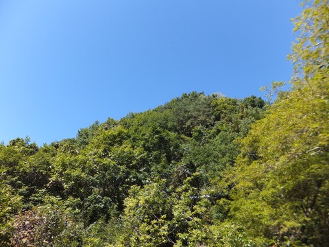 ����Ƭ��ν���