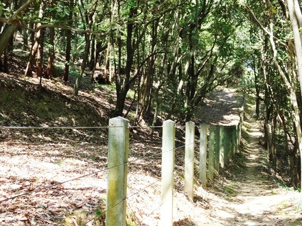 御陵の東側・前方墳から後円墳に向けて撮影