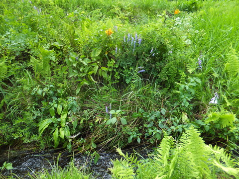 ���դ˺餯�����ʲ֡�