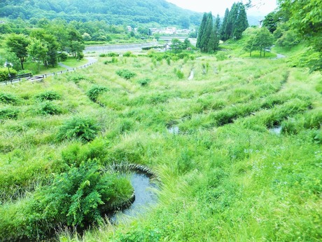 ���ο�ϩ���˷֤���©���Ƥ���