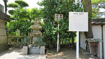 13¡¦ÀŸæÁ°ÄæÈ±ÄÍ