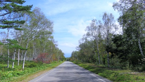 8¡¦Çò³ò·²À¸ÎÓ¤ò¤Ä¤é¤Ì¤¯ÎÓÆ»