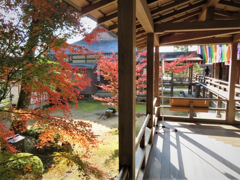 ¼����ϭ��������դ����ۥ�