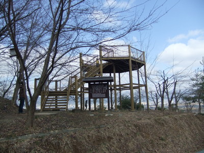 �ʽ���Ÿ˾��