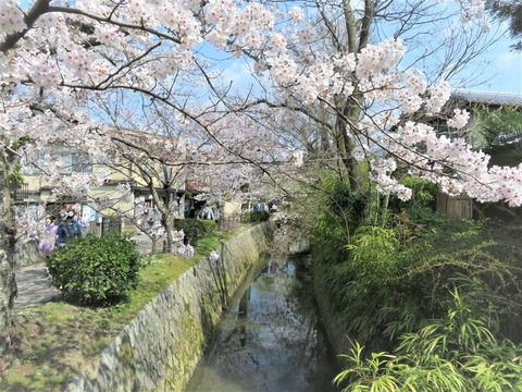 �¿�������κ�