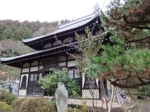 �첰�������Ʋ��