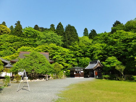 ������ɴ�ѻ�����˷�η���ʿó��