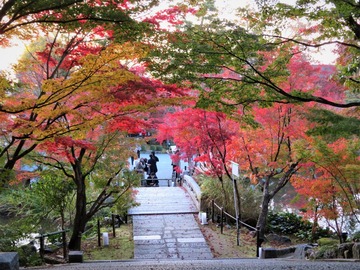 ���եȥ�ͥ���ж�