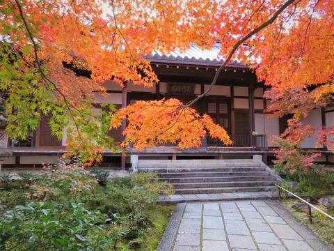 ����������Ʋ�ȹ���