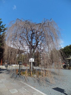 2012.3.13�����ܼ��Ʋ�ΰ�����