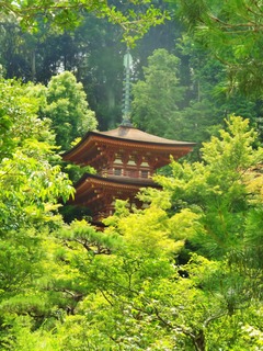 11����ߤ��黰�����