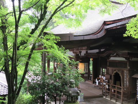 Àл³»û¡¡ËÜÆ²¤È¸»»á¤Î´Ö