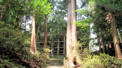 24�����α���ֶ�