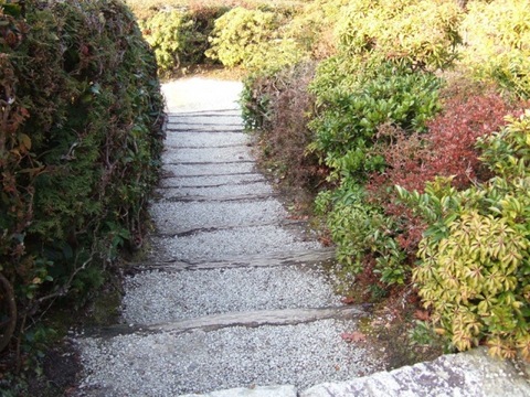 隣雲亭への階段混ぜ垣