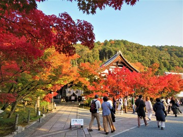 ©��Τ�ʴ�Ʋ�Τ�ߤ�