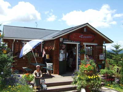 �ڡ�������