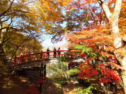 �ϼ����ǹ��դ�������Ѹ���