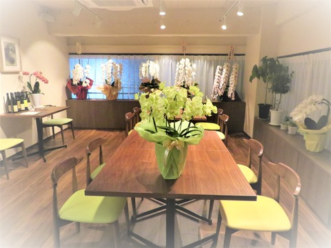 ⓪¤æ¤Ã¤¿¤ê¤È¤·¤¿Å¹Æâ