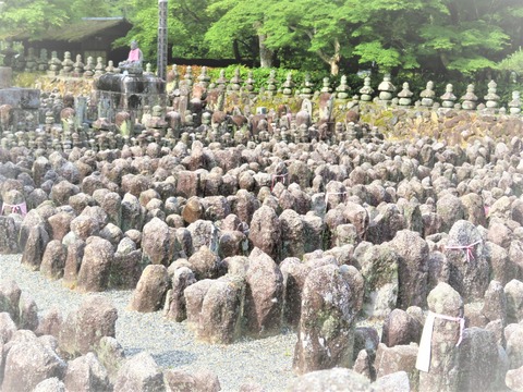 ²½Ìî¤Î̵±ïÊ©