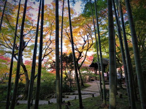 Ԥ���������ӤΤळ���ˤ�ߤ�����