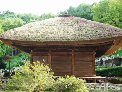 ����Ʋ��������