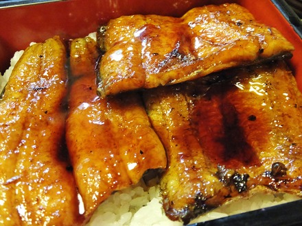 £±£±¡¦¥¿¥ì¤ò¤·¤Ã¤«¤ê¤«¤±¤Þ¤·¤¿