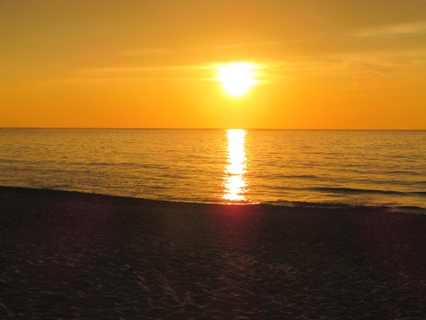 �ץ��ͤ�ͼ��