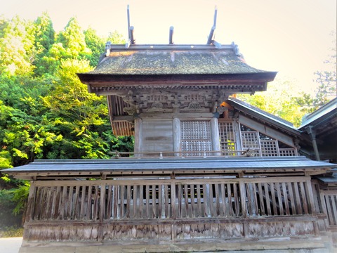 ¶ÌºîÅò¿À¼ÒËÜŤò¿¿²£¤«¤é