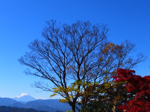 25���ٻλ��ȹ���