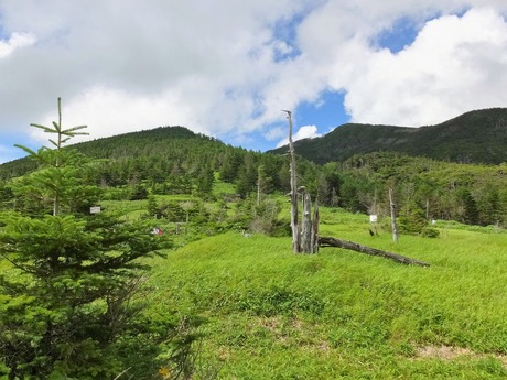 7��ŷ������