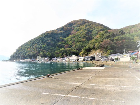 常神漁港の佇まい