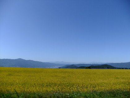 ���ʤΰ���