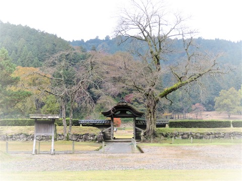 Ä«ÁÒ»á¤Î´ÛÆâ¤«¤éÌç¤ò¸«¤ë