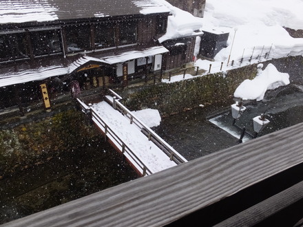 21����ī���㤬�ߤäƤ��ޤ���