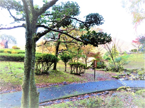 Âð¼é¤È¶¹ÌîÄï¾å̼»Ò¤Î²ÎÈê¤Î·ú¤ÄÈæÍã¤ÎµÖ