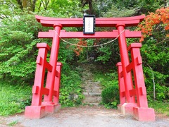 �굮�������Ļ��