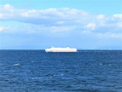 ���˿�ƻ��ҹԤ��륪����������ե��꡼��