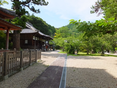 12���޽��㤫����Ʋ�������