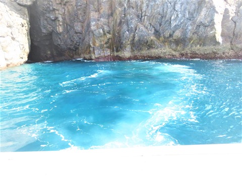 ³¤Æ¶¤òÇÁ¤¯