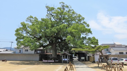 0¡¦Ä¹Èø»û¤ÎÂçÆï