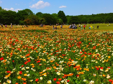 �ݥԡ����ݥԡ����ݥԡ�