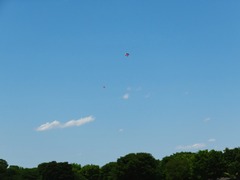 �ߤ�ʤθ��äѤǤ����Ȥ�