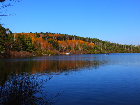 6���ݥåץ��顼�ǻ���