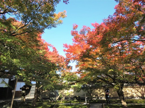 ��ŷ�ˤ�ߤ������������߱�