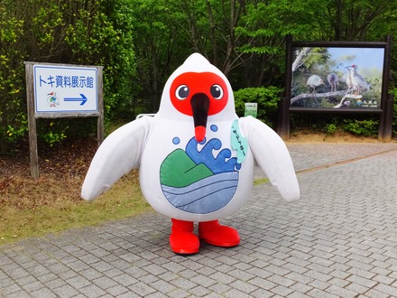 �������ɥå���