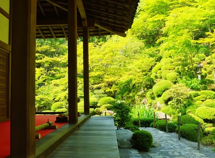 �����������������