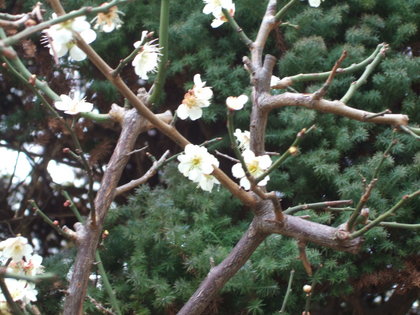 ��������