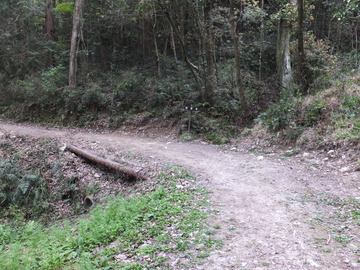 龍神谷の曲り角